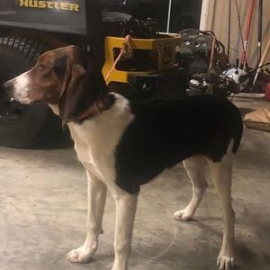 Meet your Posher, Darrell